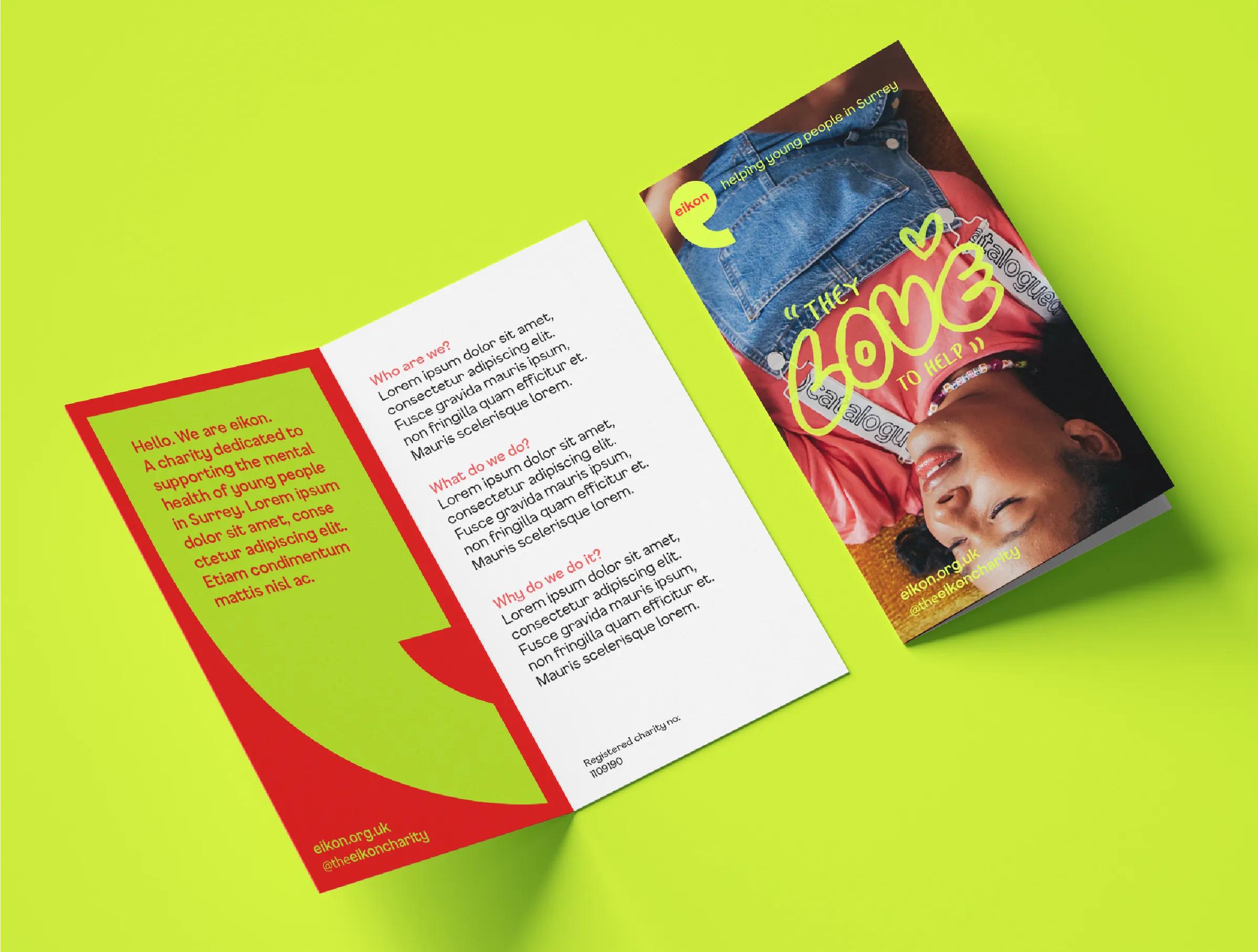 Eikon leaflet