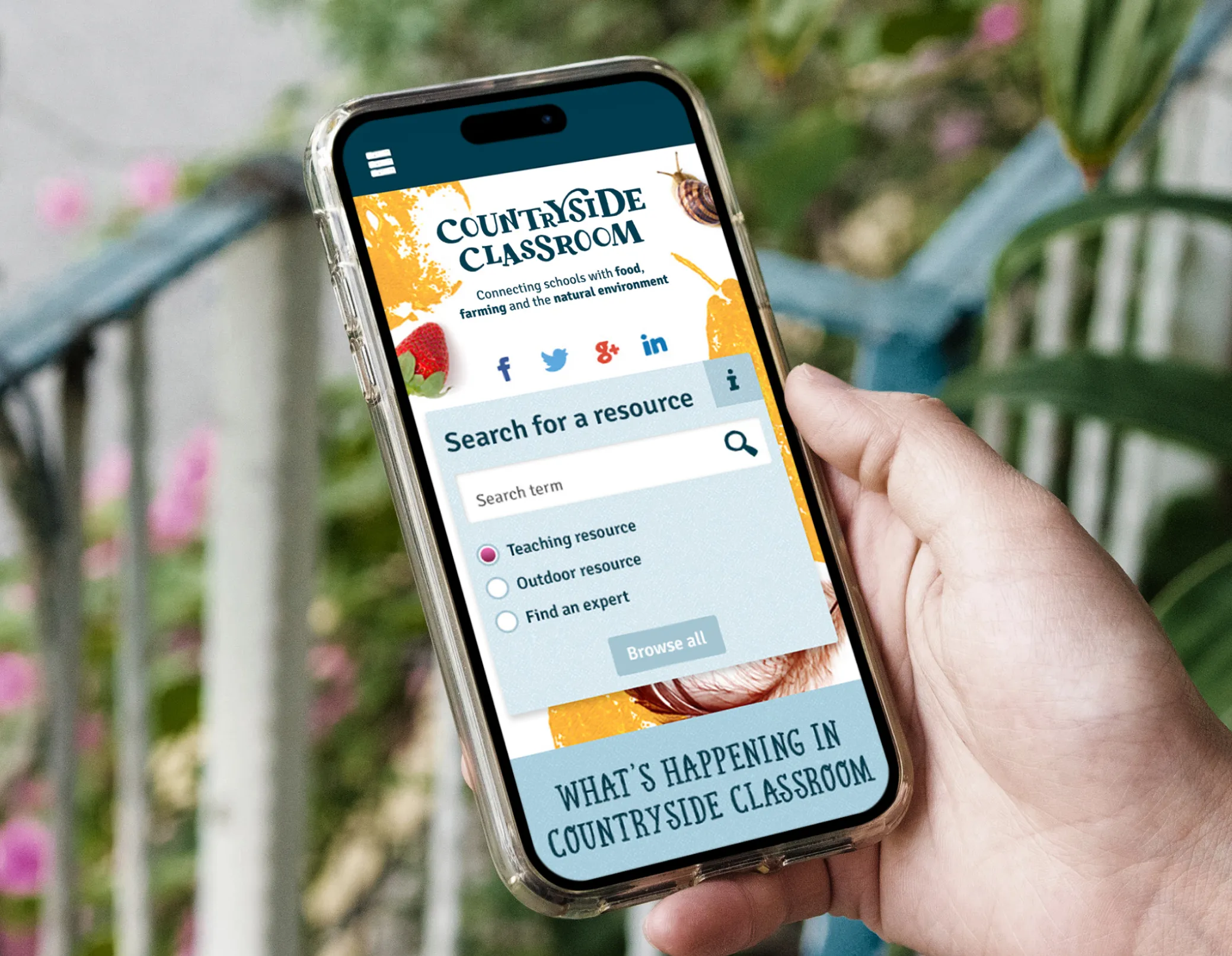 mobile phone mockup showing countryside classroom branding